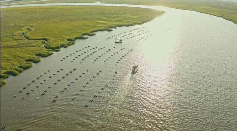 Travel + Leisure Lowcountry Oyster Farm Tour